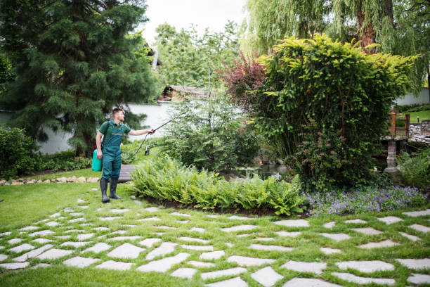 Best Pest Control Near Me  in Kenwood, OH