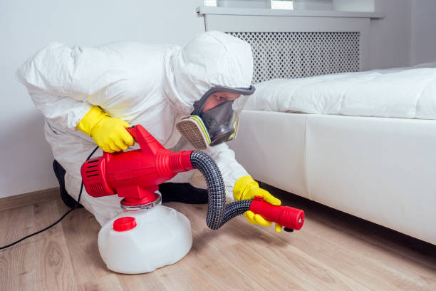 Best Wasp Removal Services  in Kenwood, OH