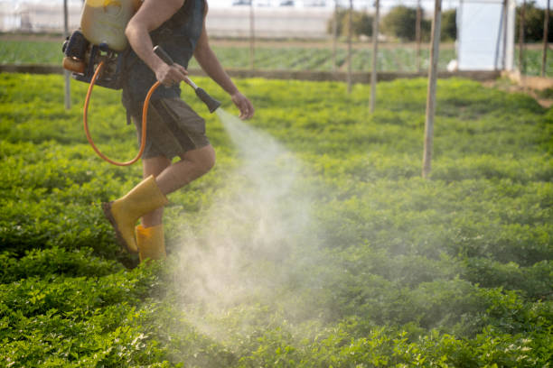 Best Pest Removal Services  in Kenwood, OH